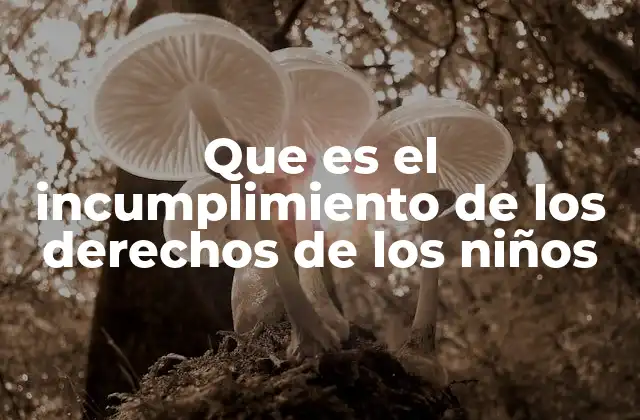 Que es el Incumplimiento de los Derechos de los Niños