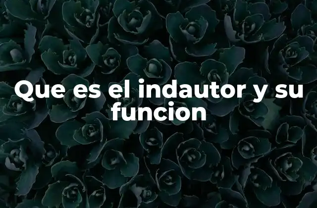 Que es el Indautor y Su Funcion