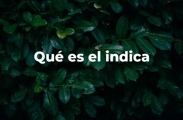 Qué es el Indica