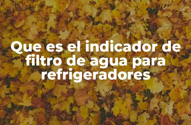 Que es el Indicador de Filtro de Agua para Refrigeradores