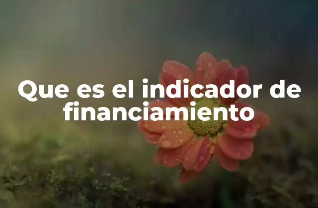Que es el Indicador de Financiamiento 2 Medición de la salud financiera sin mencionar la palabra clave