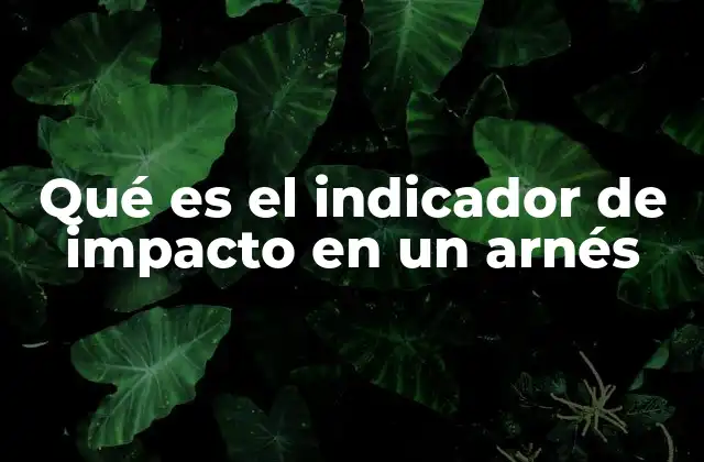 Qué es el Indicador de Impacto en un Arnés