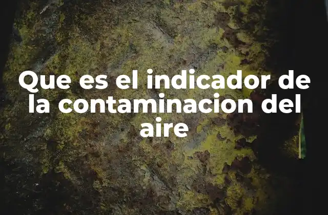 Que es el Indicador de la Contaminacion Del Aire