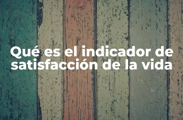 Qué es el Indicador de Satisfacción de la Vida