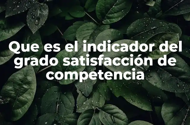 Que es el Indicador Del Grado Satisfacción de Competencia