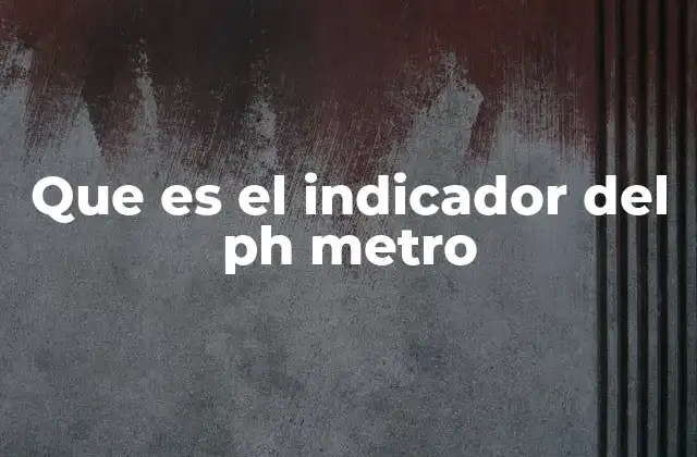 Que es el Indicador Del Ph Metro