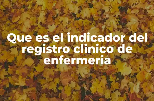 Que es el Indicador Del Registro Clinico de Enfermeria