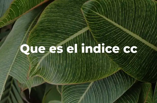 La importancia del índice CC en la organización bibliográfica