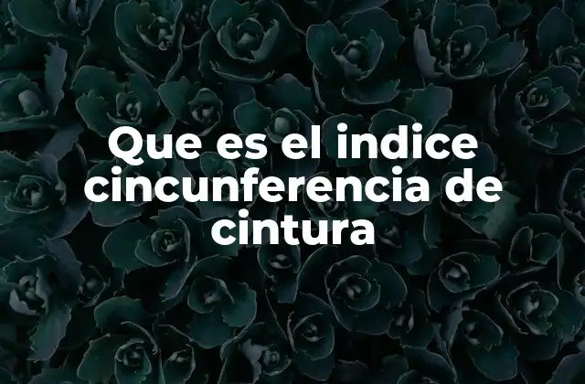 Que es el Indice Cincunferencia de Cintura 2 La importancia de medir la circunferencia de cintura en la salud pública