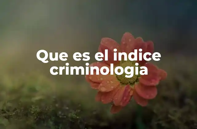 Que es el Indice Criminologia