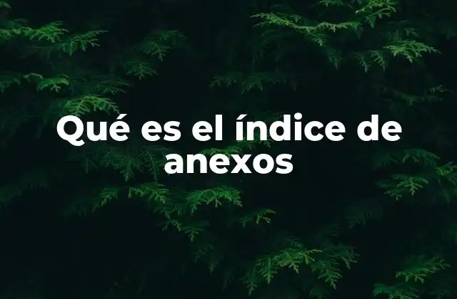 La importancia de estructurar correctamente los anexos