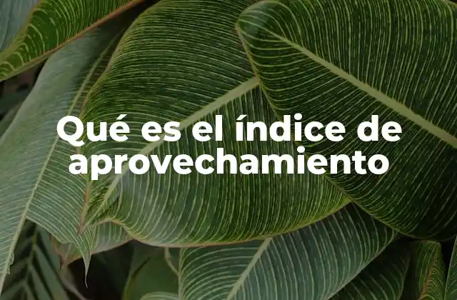 Qué es el Índice de Aprovechamiento