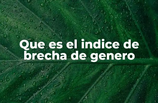 Que es el Indice de Brecha de Genero