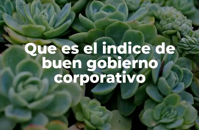 Que es el Indice de Buen Gobierno Corporativo