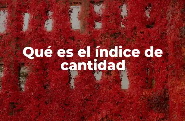 Qué es el Índice de Cantidad