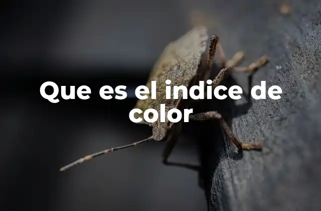 Que es el Indice de Color