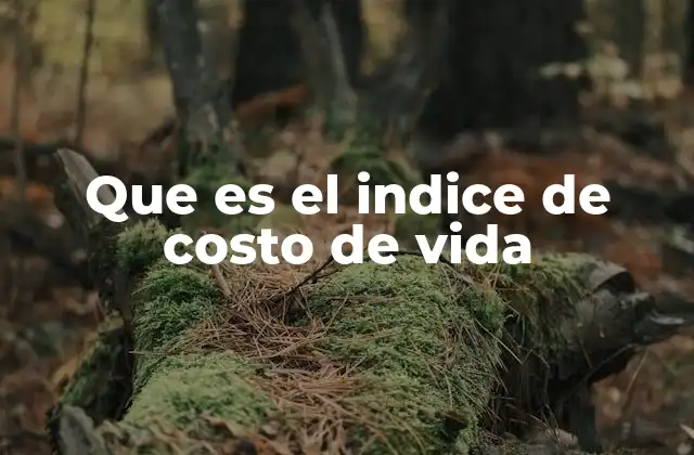 Que es el Indice de Costo de Vida