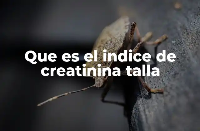 Que es el Indice de Creatinina Talla