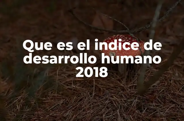 Cómo el IDH mide el progreso humano