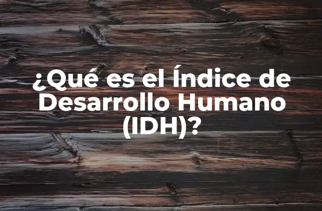 Dimensiones del Índice de Desarrollo Humano (IDH)
