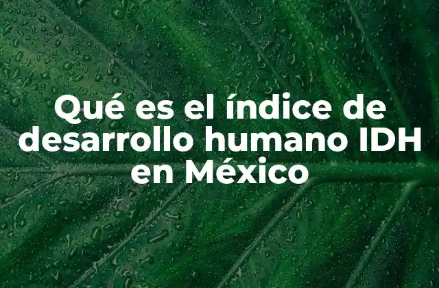 Qué es el Índice de Desarrollo Humano Idh en México 2 El IDH como reflejo del bienestar en México