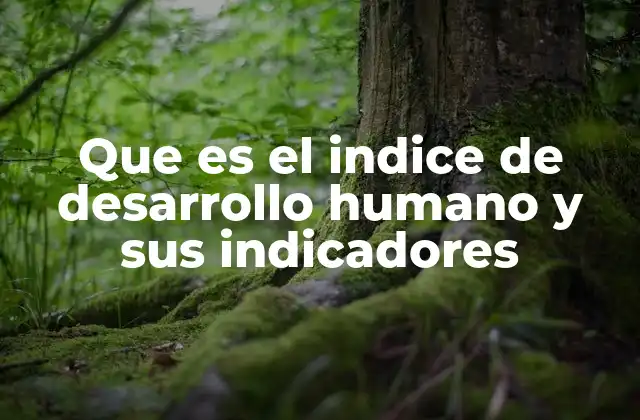 Que es el Indice de Desarrollo Humano y Sus Indicadores
