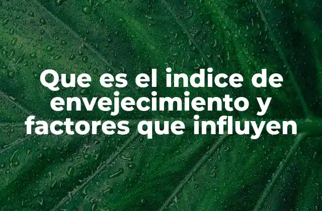 Que es el Indice de Envejecimiento y Factores que Influyen