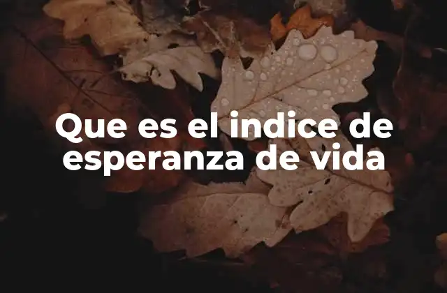 Que es el Indice de Esperanza de Vida