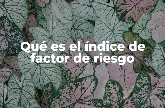Qué es el Índice de Factor de Riesgo