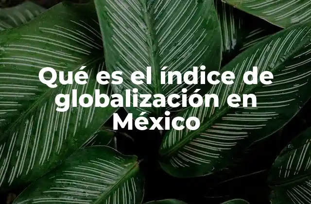 La importancia de medir la globalización en el contexto mexicano