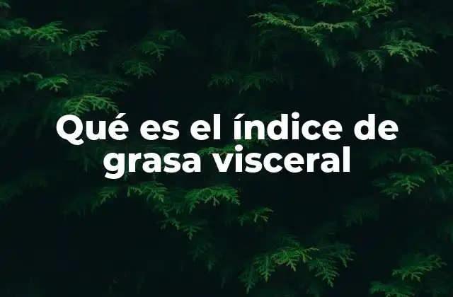 Qué es el Índice de Grasa Visceral