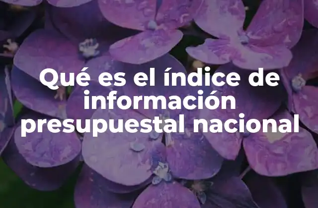 Qué es el Índice de Información Presupuestal Nacional