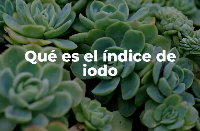 Qué es el Índice de Iodo