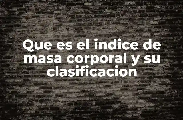Que es el Indice de Masa Corporal y Su Clasificacion