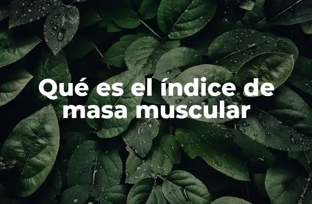 Qué es el Índice de Masa Muscular