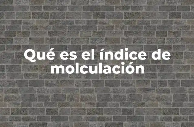 Qué es el Índice de Molculación