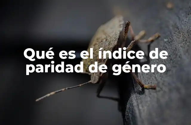 Qué es el Índice de Paridad de Género