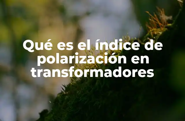 Qué es el Índice de Polarización en Transformadores