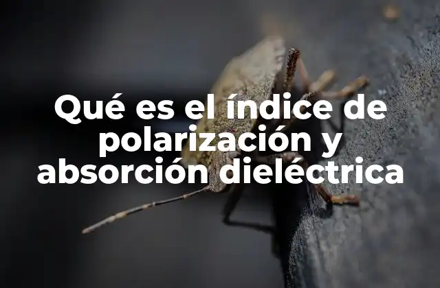 Qué es el Índice de Polarización y Absorción Dieléctrica