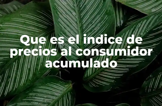 Que es el Indice de Precios Al Consumidor Acumulado 2 La importancia del IPC acumulado en la economía