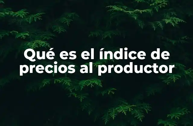 Qué es el Índice de Precios Al Productor