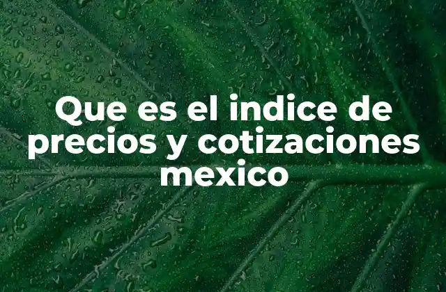 Que es el Indice de Precios y Cotizaciones Mexico