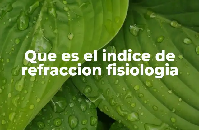 Que es el Indice de Refraccion Fisiologia
