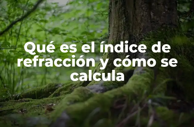 Qué es el Índice de Refracción y Cómo Se Calcula