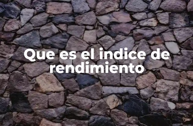 Que es el Indice de Rendimiento