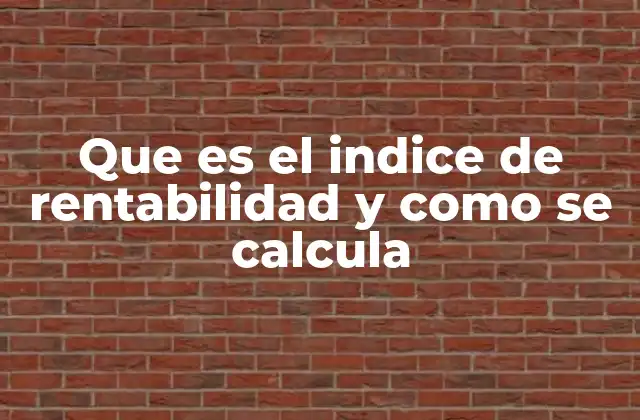 Que es el Indice de Rentabilidad y como Se Calcula