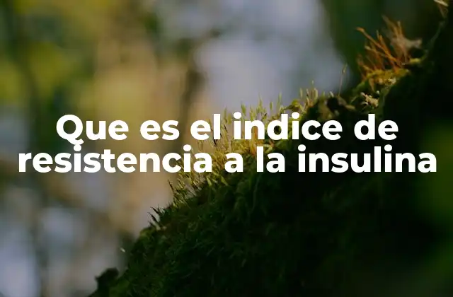 Que es el Indice de Resistencia a la Insulina