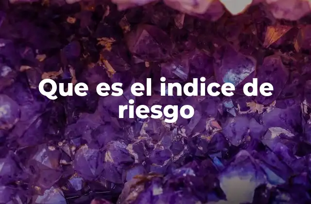 Que es el Indice de Riesgo
