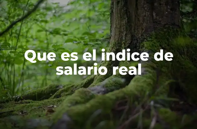 Que es el Indice de Salario Real