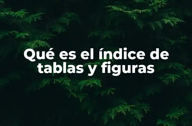 Qué es el Índice de Tablas y Figuras